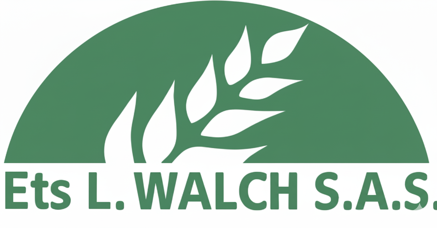 Gemini_Generated_Image_p09r9p09r9p09r9p (1)