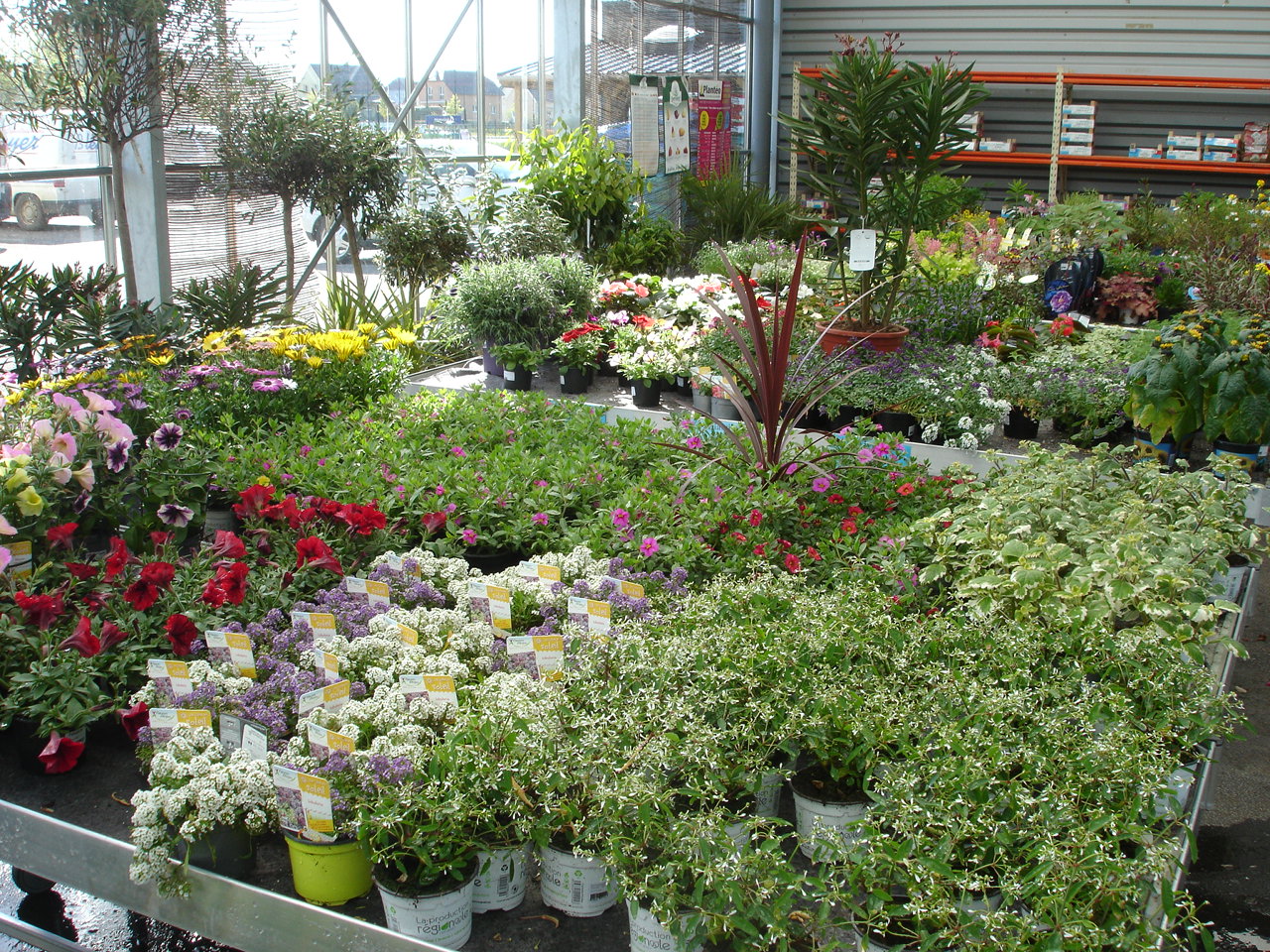 Végétaux, fleurs, arbres Jardinerie Tournesol ETS L WALCH