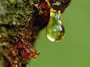 Granulés de Bois ETS L WALCH